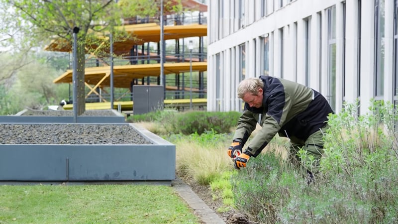 Aussenanlagepflege_Grünpflege_ISS