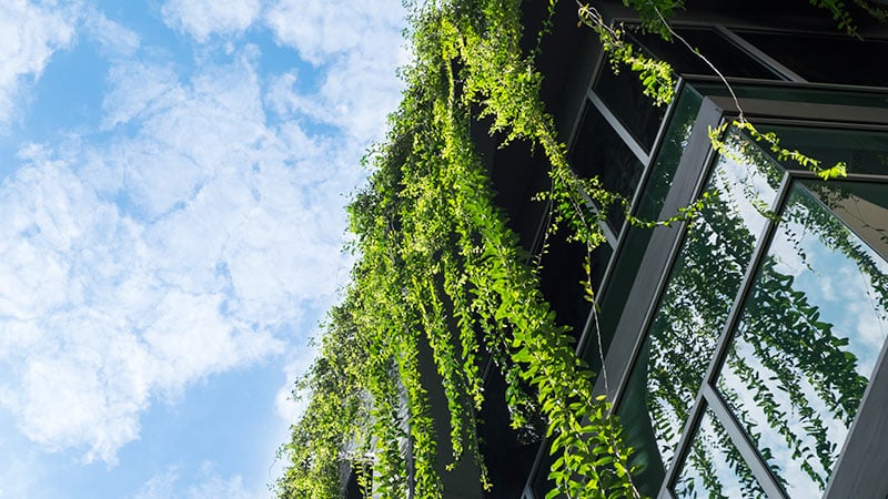 Real_Estate_Advisory_Green_Lease_ISS