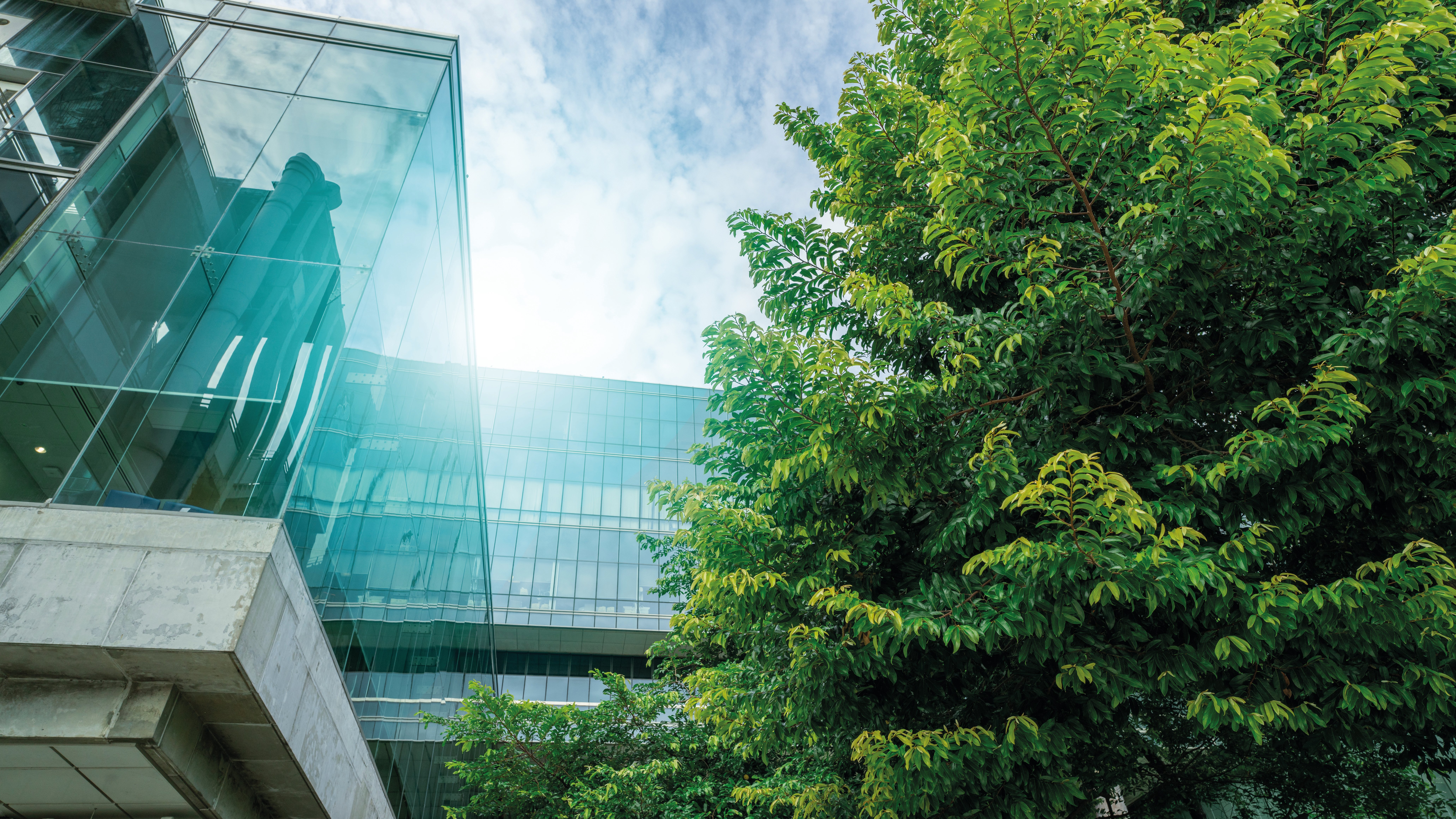 Klimaschutzplanung & Umsetzung_AdobeStock_680554753 Kopie