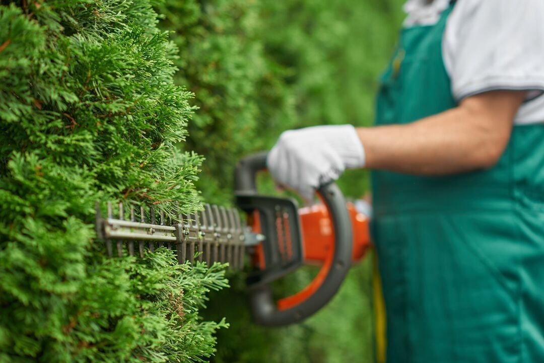 Web_Desktop-Close up of man hand with hedge trimmer cutting bushes.